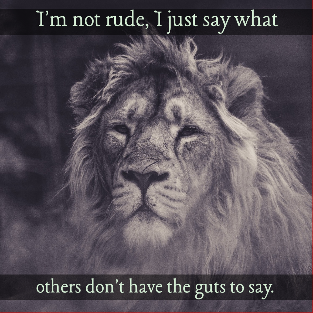 I_am_not_rude Quote Card