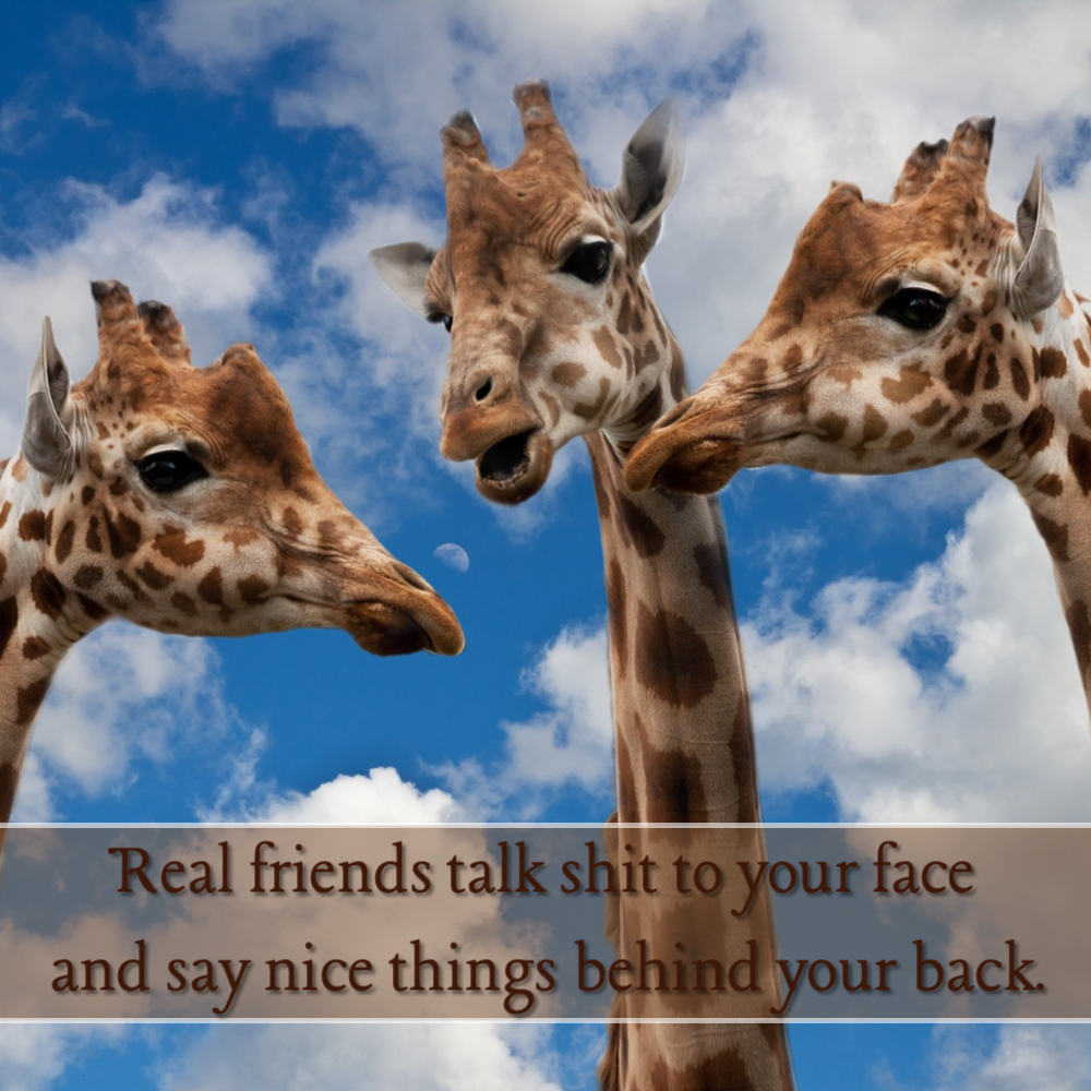 real_friend_talk_shit_to_your_face Quote Card